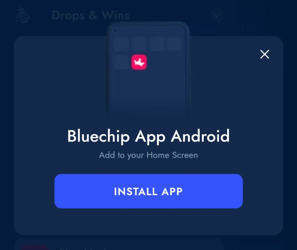 Bluechip India App Review