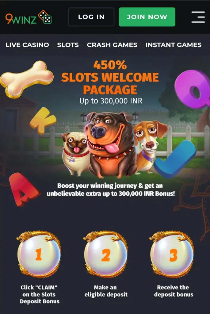 Screenshot of Welcome Bonus at 9Winz Casino