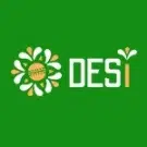 Desi Casino Review