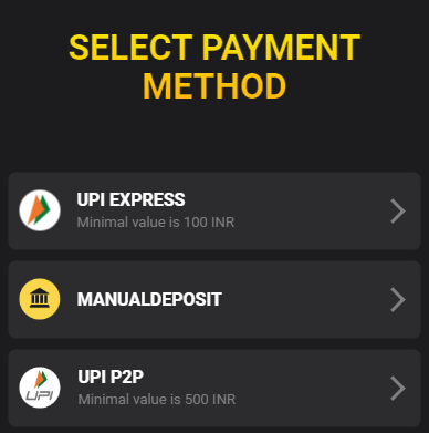 Available Payment Methods at 24 betting